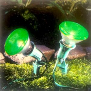 GE Lighting Outdoor PAR38 Light Bulb - Green